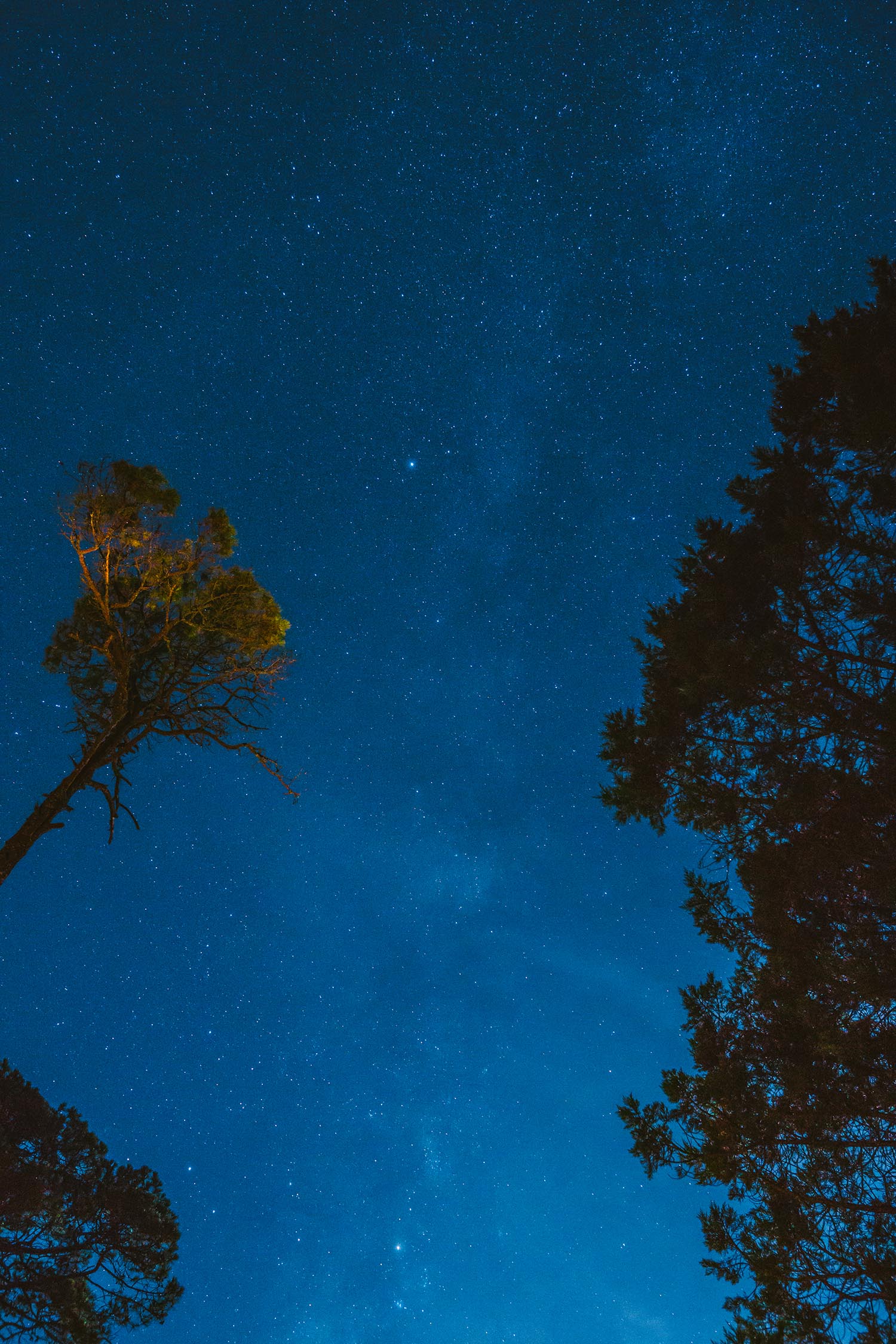 Night sky with stars, Mexico